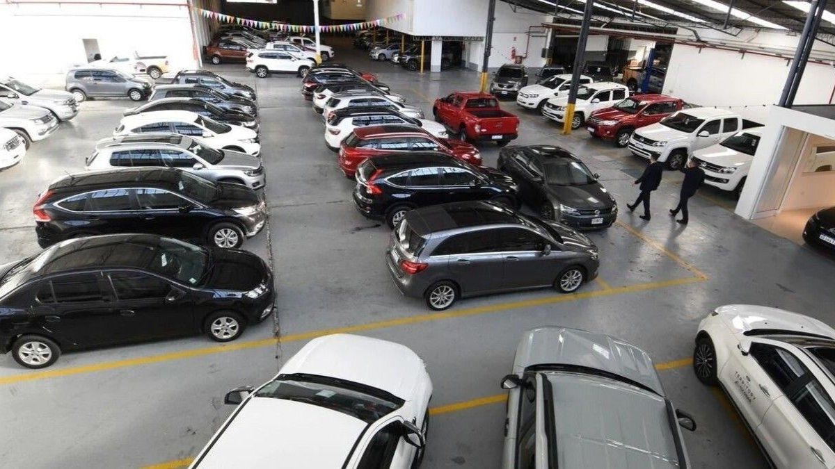 los modelos que se venden más rápido y dominan el mercado nacional