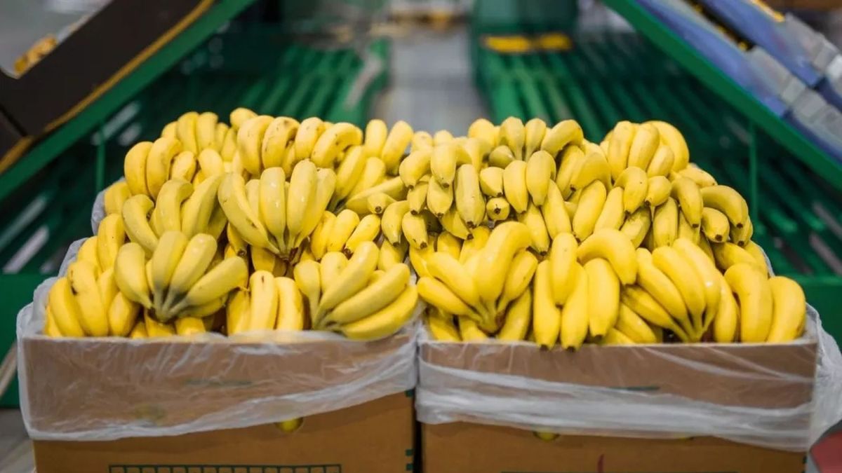 Jujuy y Salta acordaron mantener los controles sanitarios a las importaciones de bananas por la desregulación inconsulta del sector