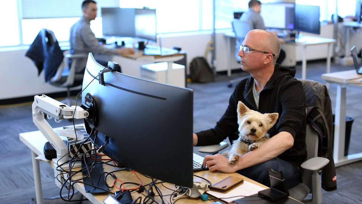 La humanización de mascotas impulsa el negocio global de la salud animal y mueve u$s73.000 millones al año