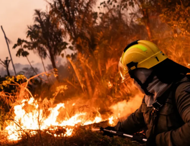 más de 20.000 evacuados en lo que va del verano europeo