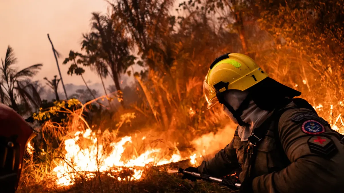 más de 20.000 evacuados en lo que va del verano europeo