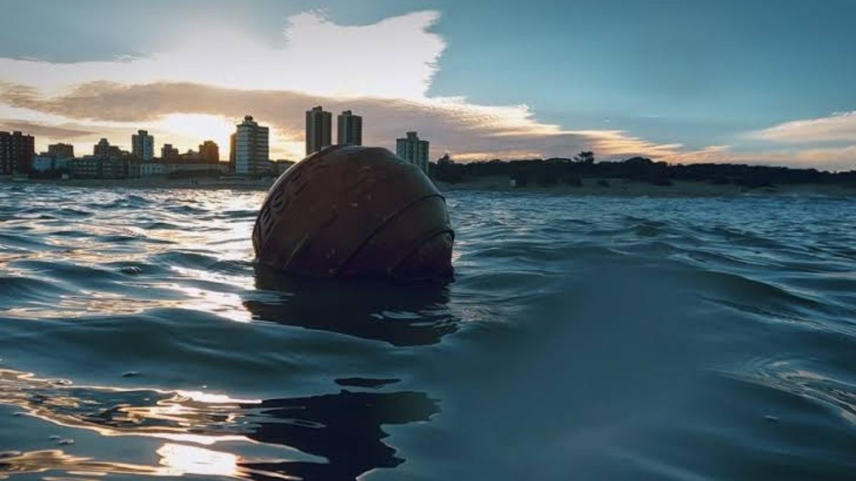 tres estrenos nacionales entre la poesía, la denuncia ambiental y el humor negro