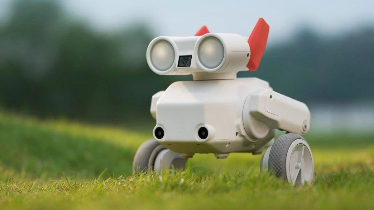el increíble robot cámara que te sigue a toda velocidad